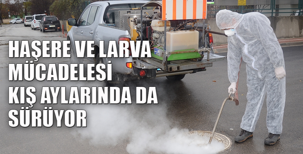 HAŞERE VE LARVA MÜCADELESİ KIŞ AYLARINDA DA SÜRÜYOR