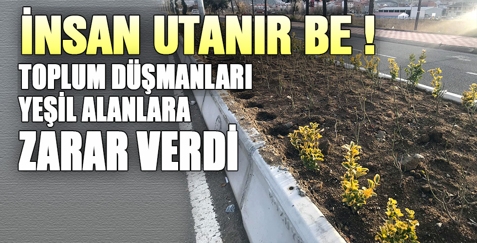 BOZÜYÜKTE TOPLUM DÜŞMANLARI YEŞİL ALANLARA ZARAR VERDİ