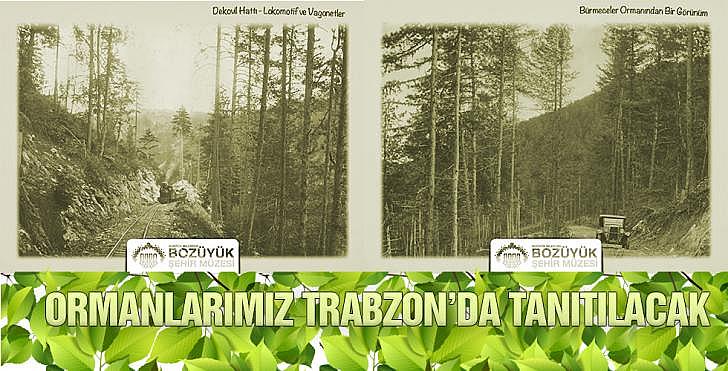 ORMANLARIMIZ TRABZON’DA TANITILACAK