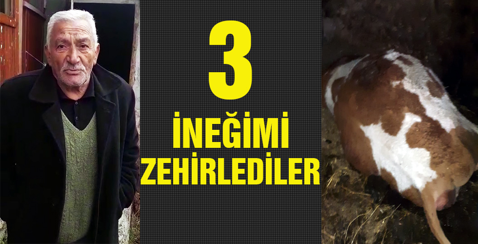 3 İNEĞİMİ ZEHİRLEDİLER