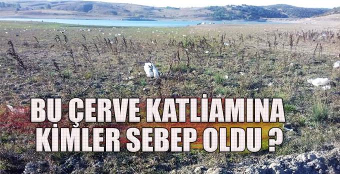 BU ÇERVE KATLİAMINA KİMLER SEBEP OLDU