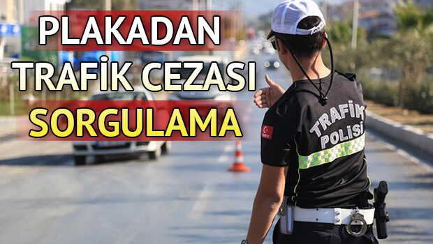 Plakadan trafik cezası nasıl öğrenilir? E Devlet trafik ceza sorgulama