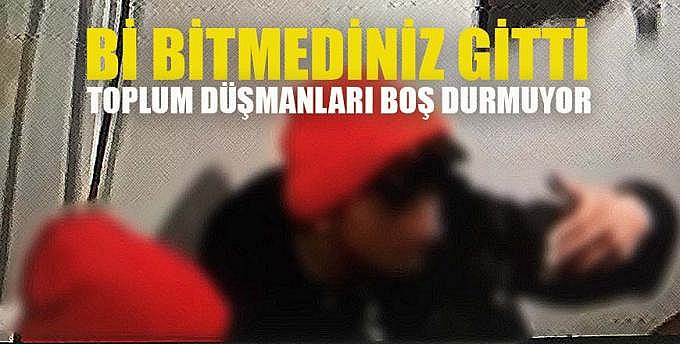 Bi bitmediniz gitti Vandal denilen toplum düşmanları