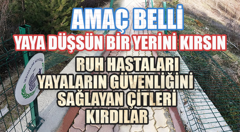 Yayaların güvenliğini sağlayan çitlere zarar verdiler