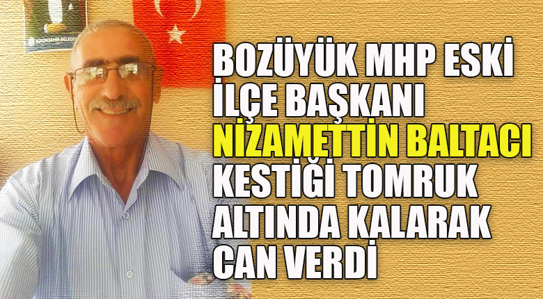 Kestiği tomruğun altında feci şekilde can verdi