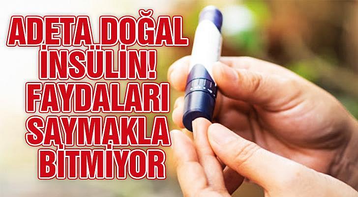 Adeta doğal insülin