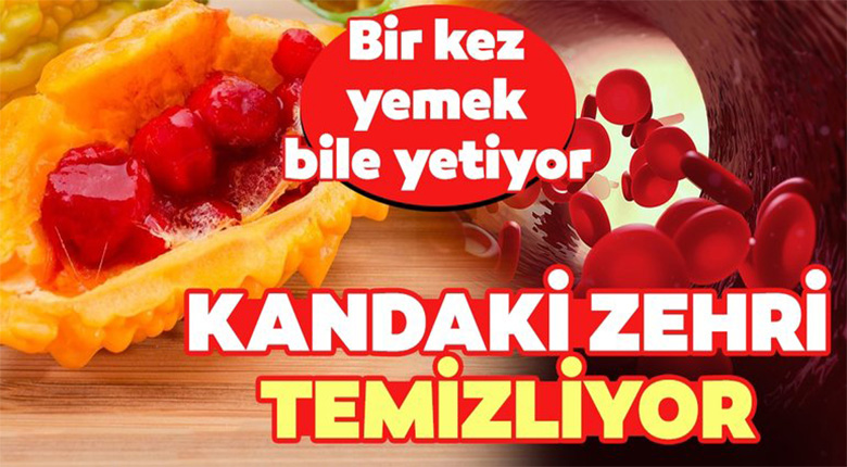 Kanı temizliyor ve kanseri önlüyor