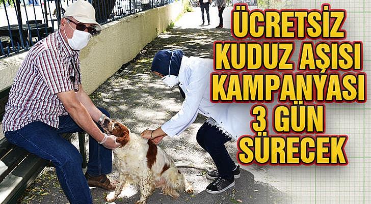 Ücretsiz kuduz aşısı kampanyası 3 gün sürecek