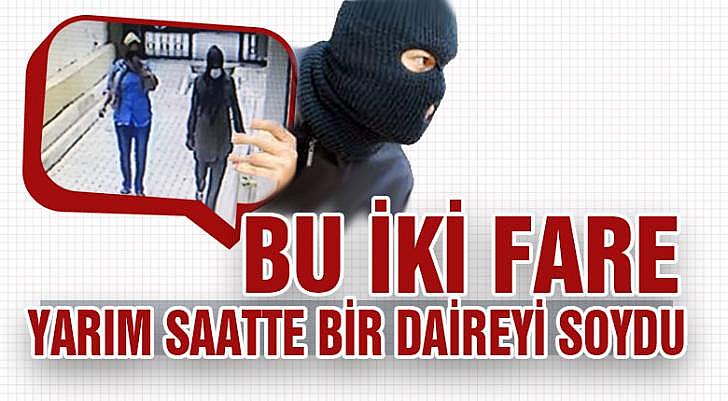 İki fare yarım saatte bir daireyi soydu