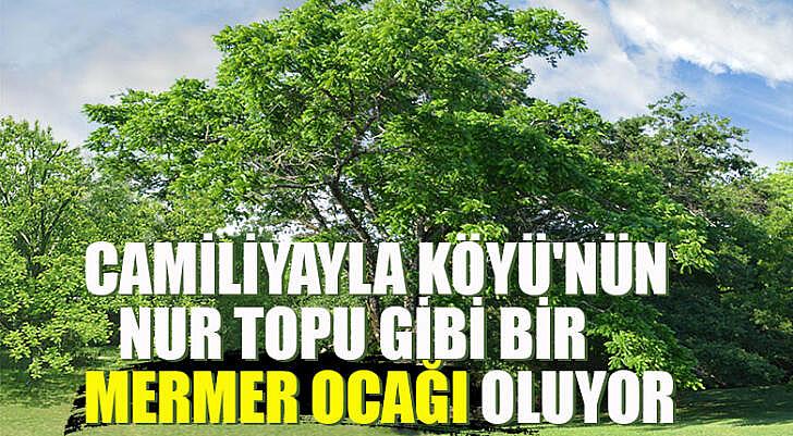 Camiliyayla Köyünün nur topu gibi mermer ocağı oluyor