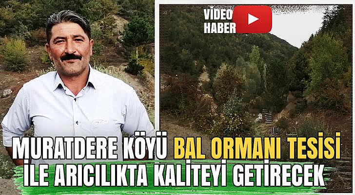 Muratdere Köyü Bal Ormanı tesisi ile arcılıkta kaliteyi getirecek