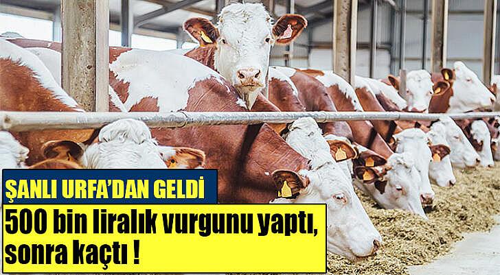 500 bin liralık vurgunu yaptı sonra kaçtı