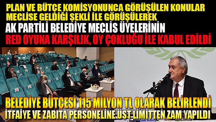 Belediye bütçesi 115 milyon TL olarak belirlendi