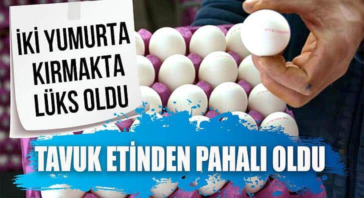 Yumurtanın Fiyatı Tavuk Etini Solladı