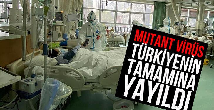 Koronavirüs mutantları Türkiye'nin tamamına yayıldı