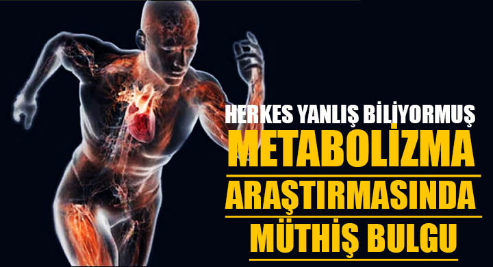 Metabolizma araştırmasında müthiş bulgu