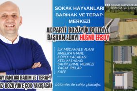 sokak hayvanları bakım ve terapi merkezimiz 3